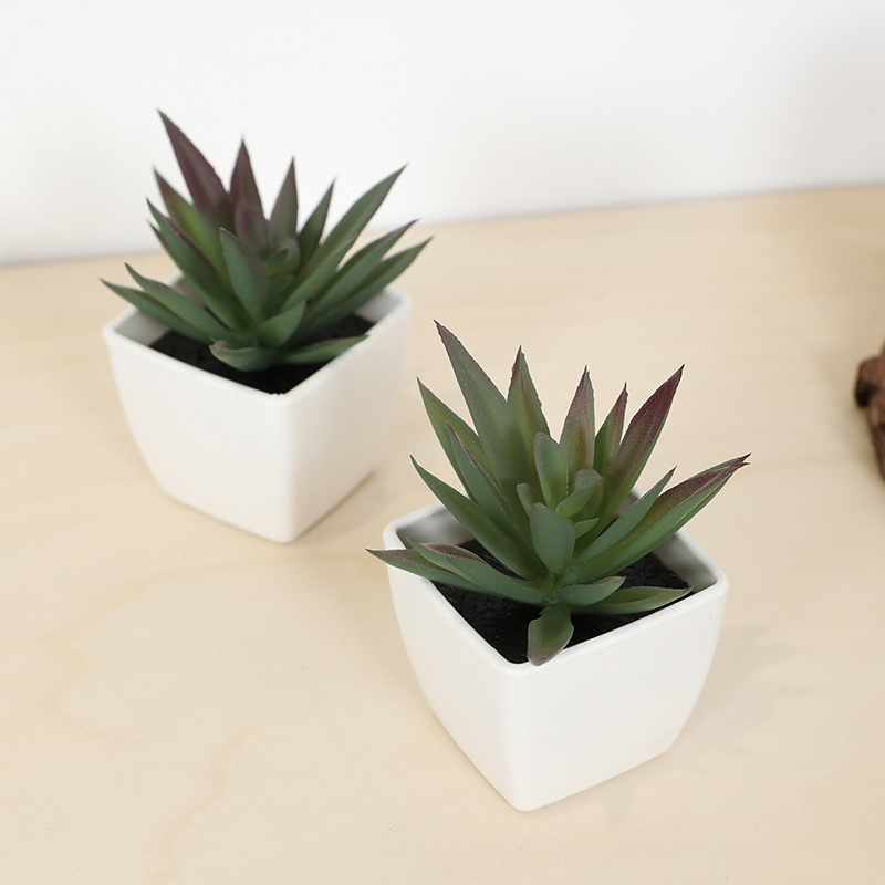 Mini Artificial Succulent Fair - Echeveria Succulent บทวิจารณ์และราคา