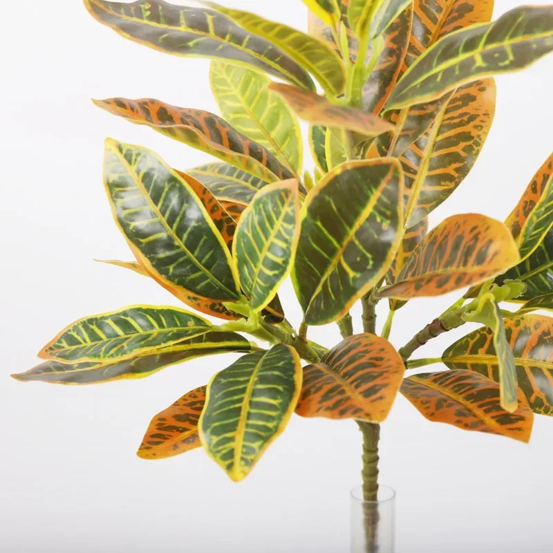 Plastic Artificial Color-chang - Dracaena Marginata บทวิจารณ์และราคา