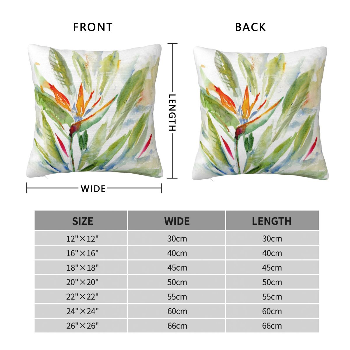 Bird Of Paradise Strelitzia Sq - Bird Paradise Strelitzia บทวิจารณ์และราคา