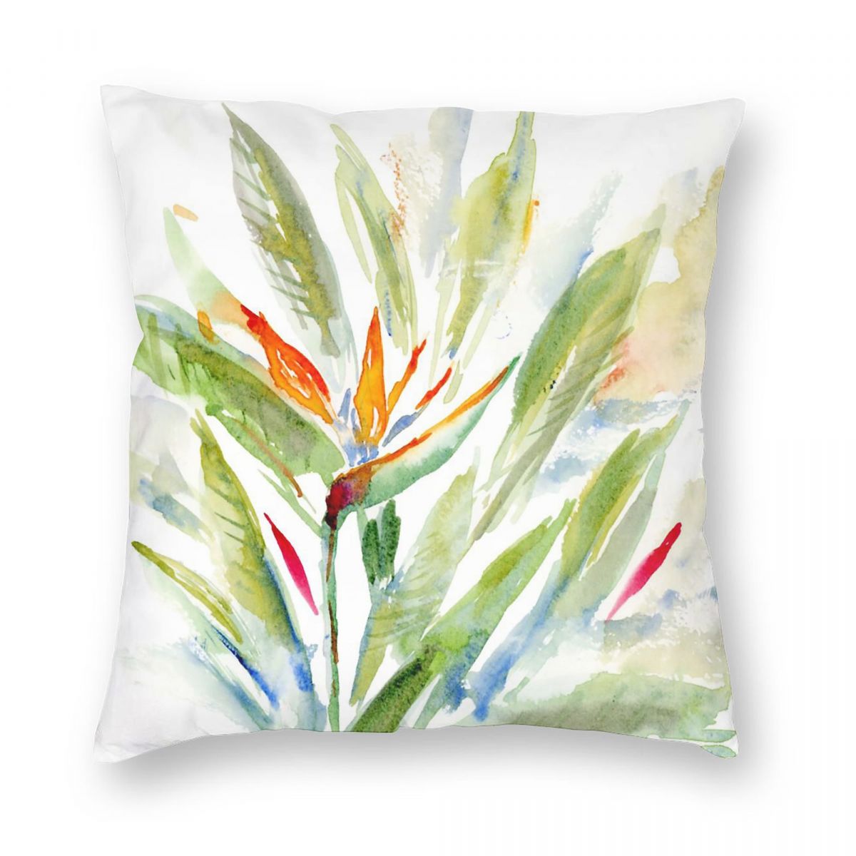 Bird Of Paradise Strelitzia Sq - Bird Paradise Strelitzia บทวิจารณ์และราคา