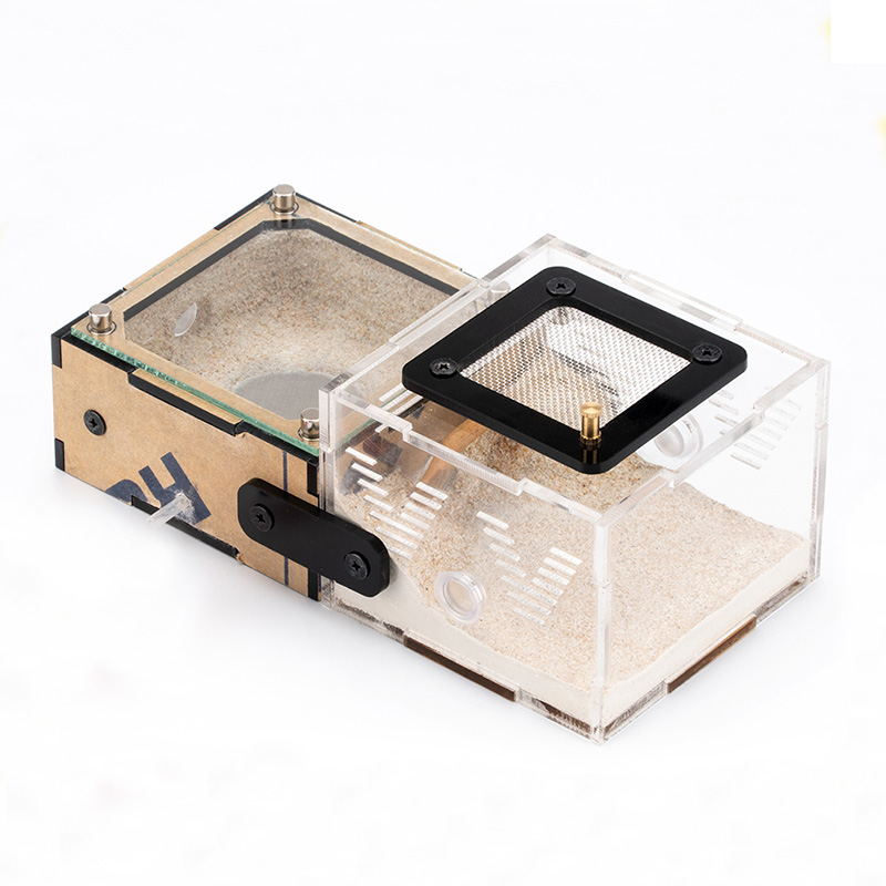 Unlimited Expansion Ant Farm H - Begonia Rex บทวิจารณ์และราคา