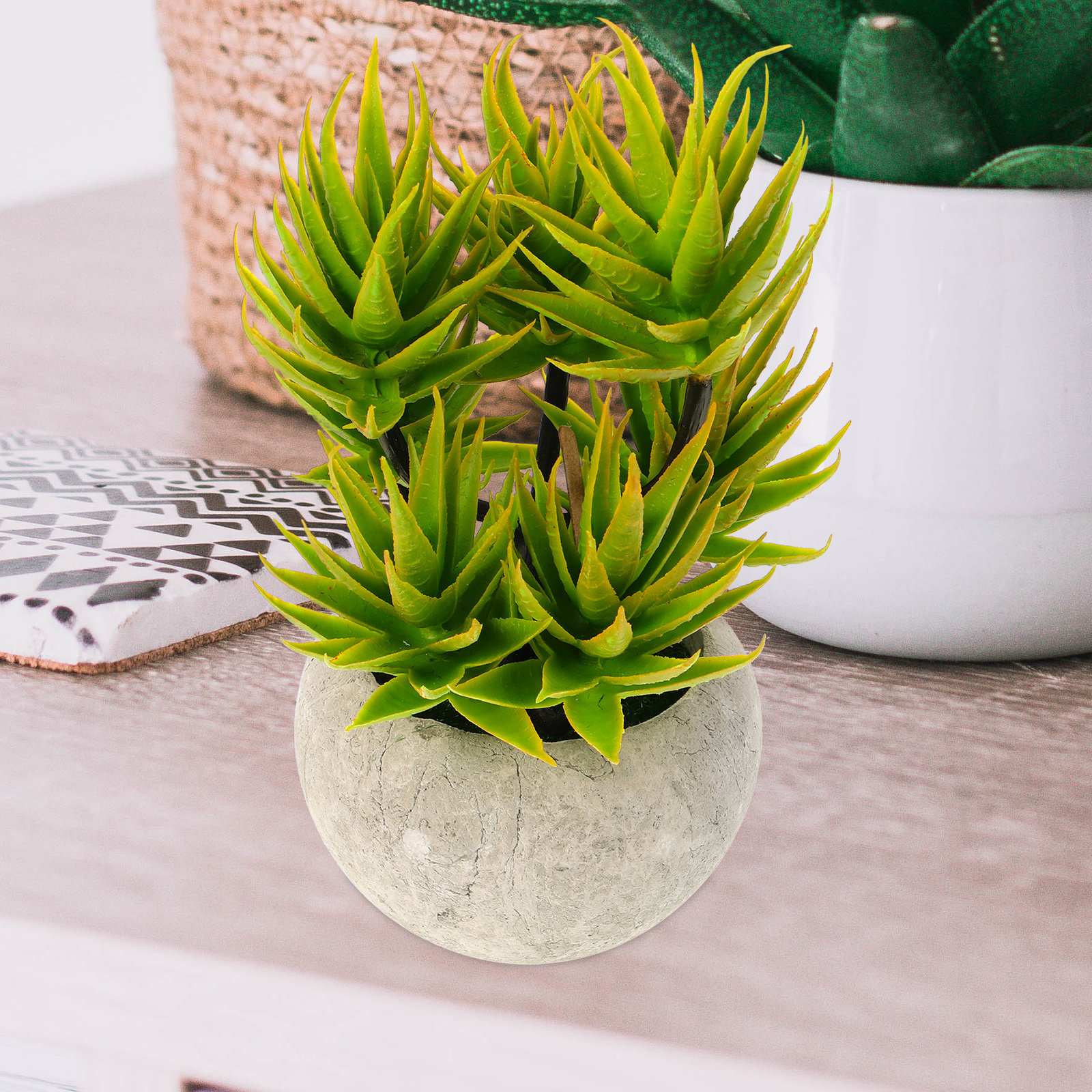 Artificial Aloe Vera Plant Pot - Aloe Vera Pot บทวิจารณ์และราคา